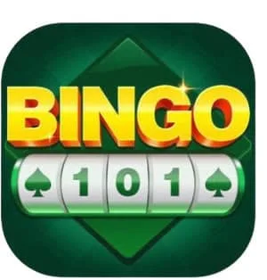 Bingo 101
